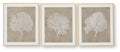 Hendridge - Wall Art Set (Set of 3) - Taupe / White  Framed Print Sets