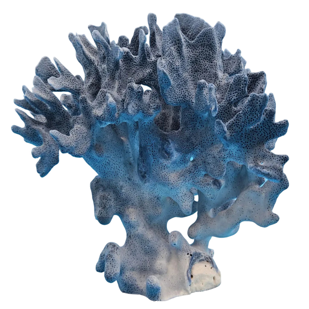 Vintage Blue Ridge Coral Specimen – Heliopora coerulea  Coral