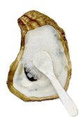 Oyster Shell Salt | Pepper | Caviar Dish with Mother of Pearl Mini Spoon  The Coastline - Nude Beach