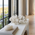 The Island Estate Coral  coral