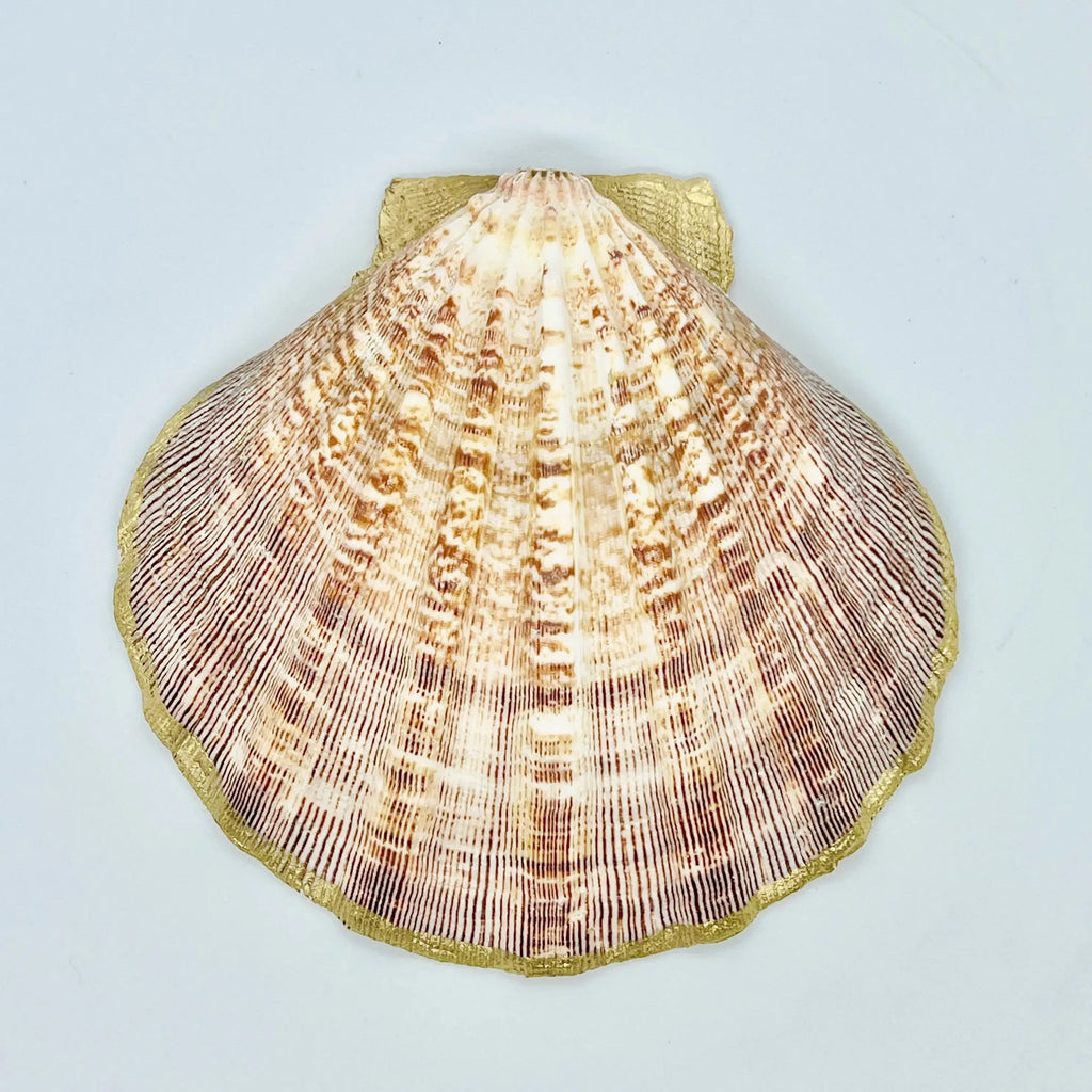 Lion's Paw Trinket Dish The Gilded Shell