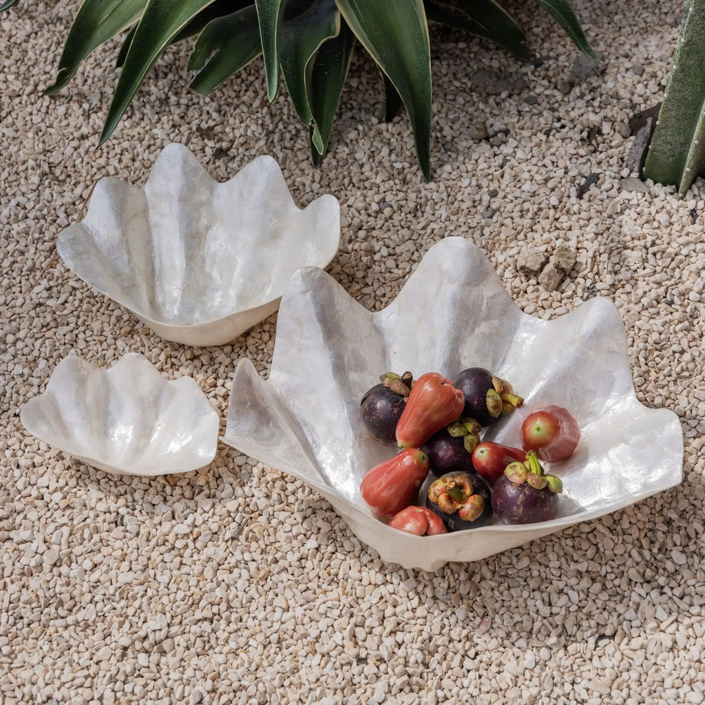 Luxury clam shell bowl set with soft iridescent champagne and sea-glass tones