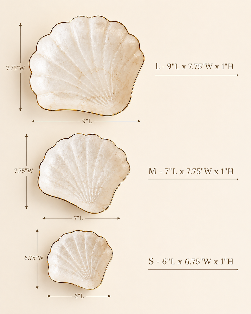 Elegant mother of pearl jewelry tray with a seashell shape and coastal finish.
