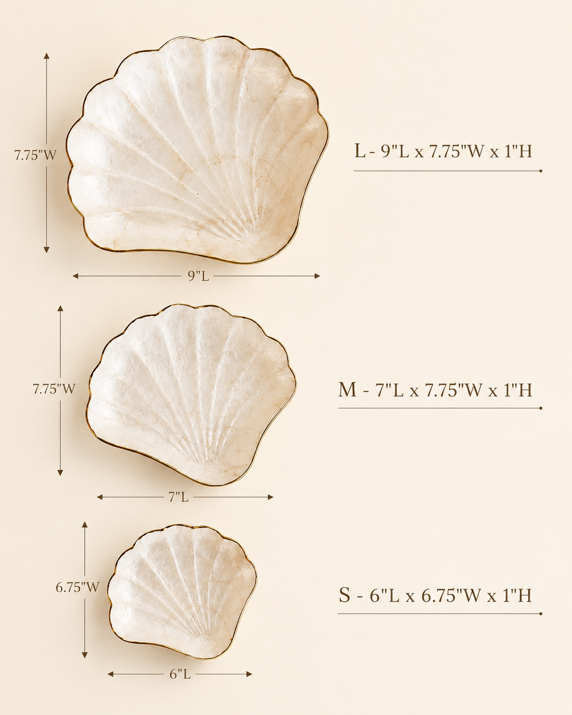 Elegant mother of pearl jewelry tray with a seashell shape and coastal finish.