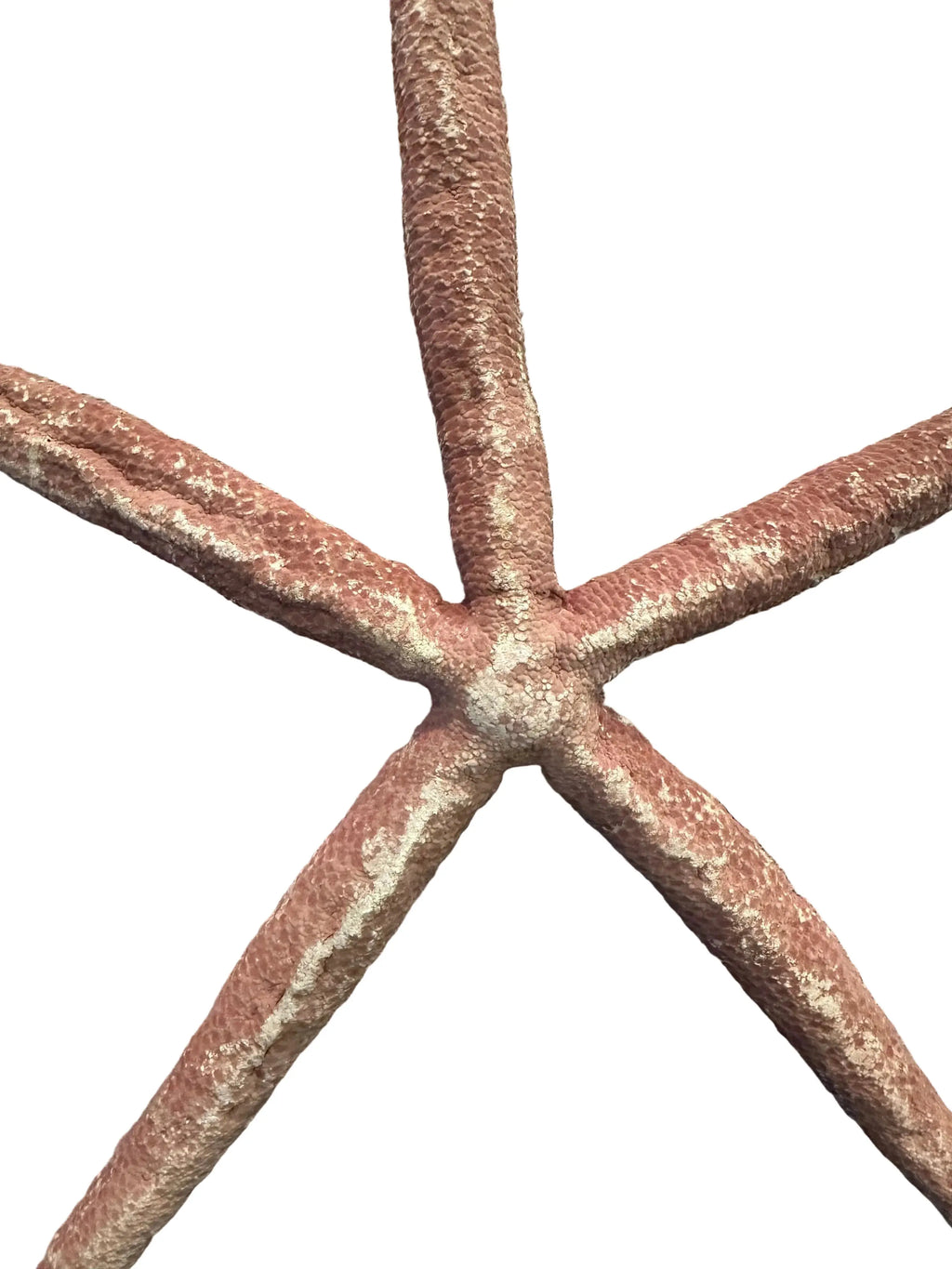 Seventeen inch red starfish sculpture for nautical shelf or tabletop display
