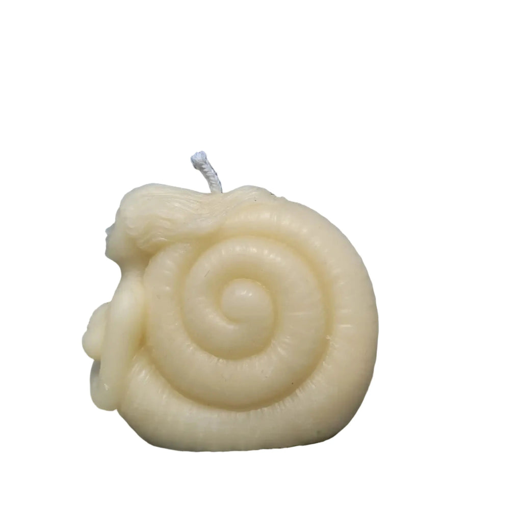 Nautilus shell mermaid candle sculpture styled in a beach-inspired interior