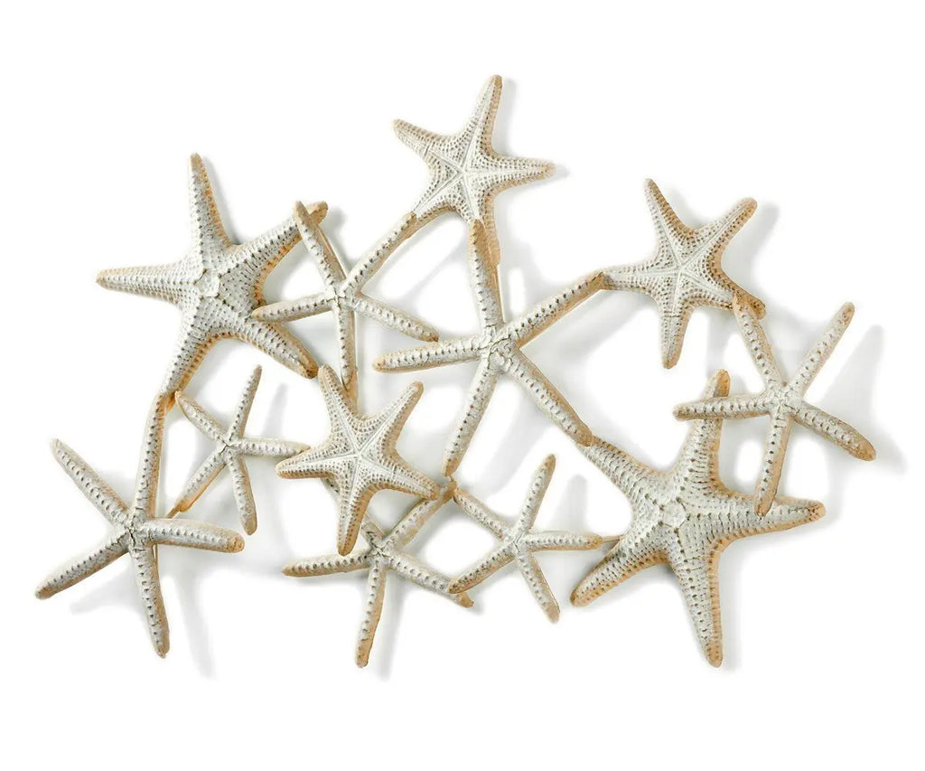 Starfish Wall Decor Loving Coastal Living