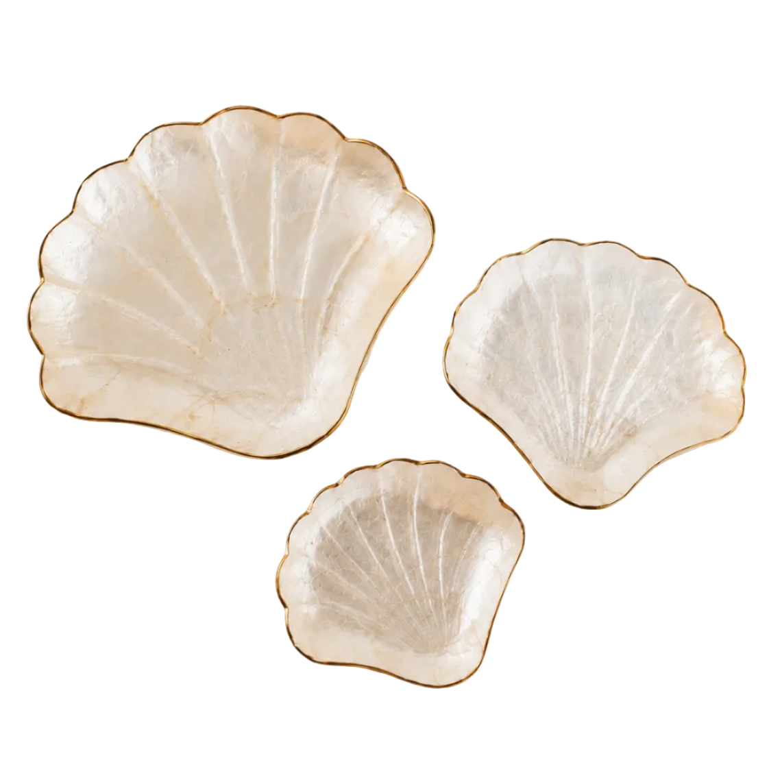 Coastal jewelry dish with a scallop shell design and luminous finish.