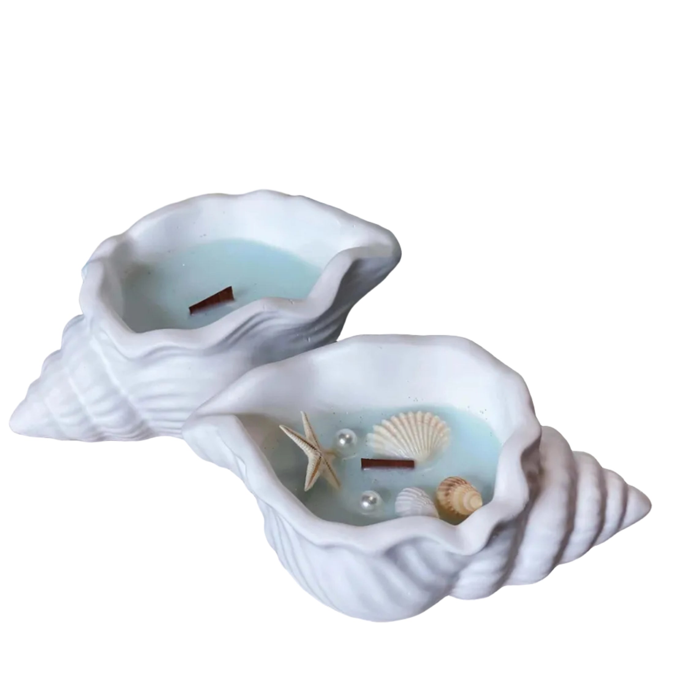 Ocean's Whisper Sea Shell Candle — Jesmonite Vessel, Coastal Soy Wax  candles