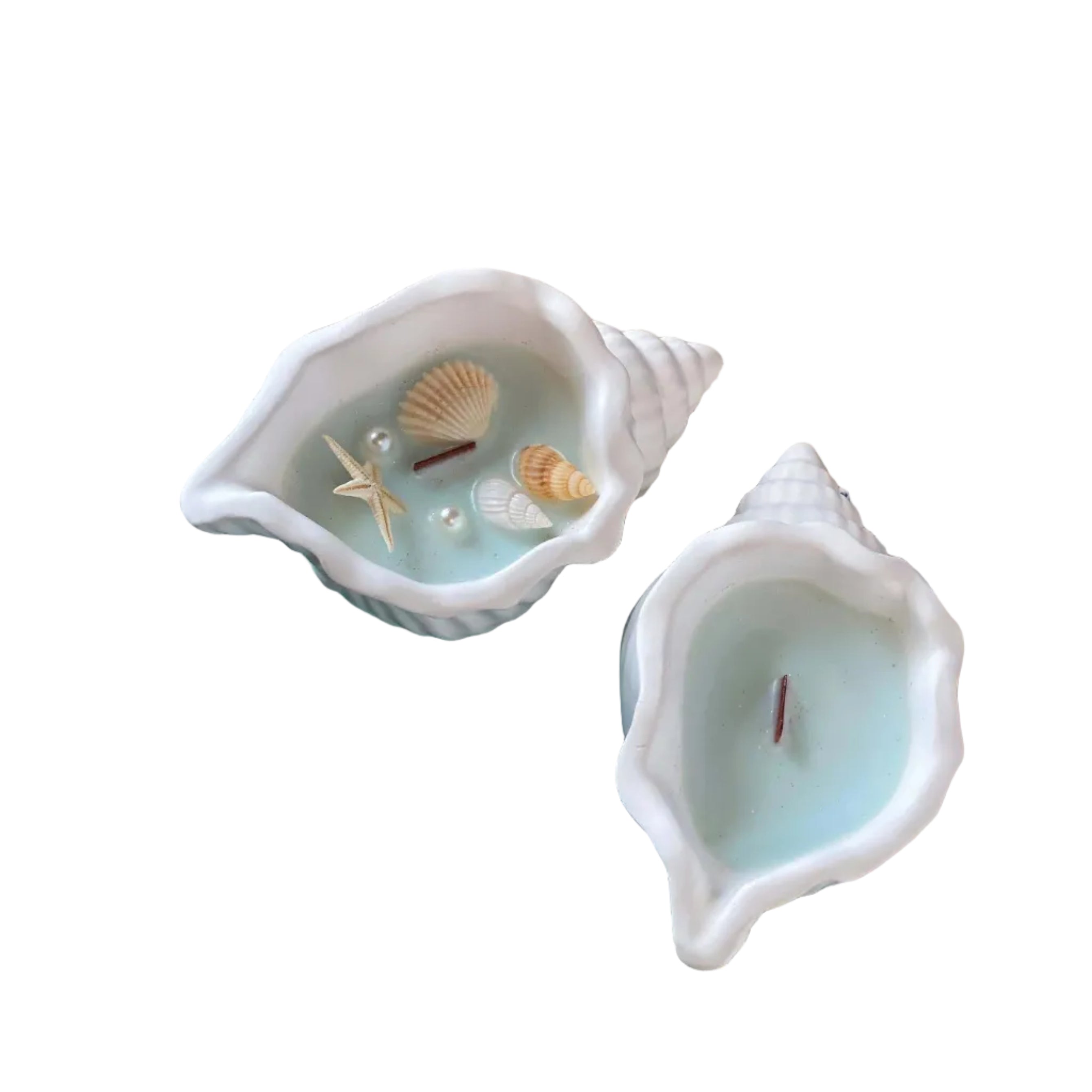 Ocean's Whisper Sea Shell Candle — Jesmonite Vessel, Coastal Soy Wax  candles