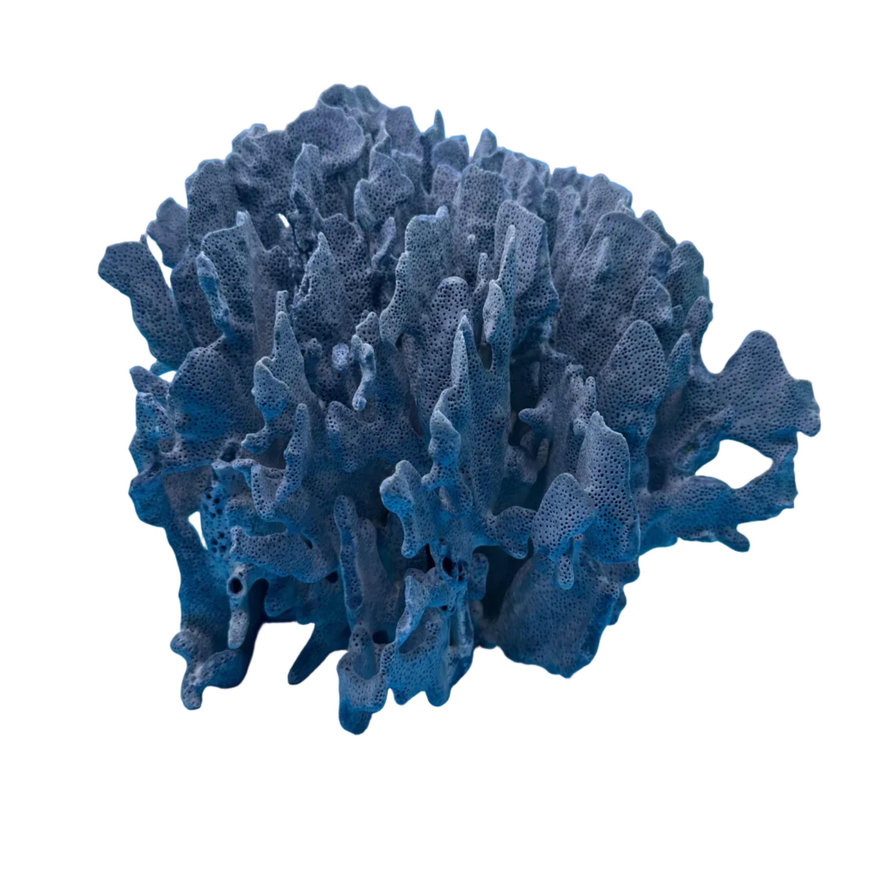 Authentic blue coral sculptures adding dimensional texture and marine character to a beach house console.
