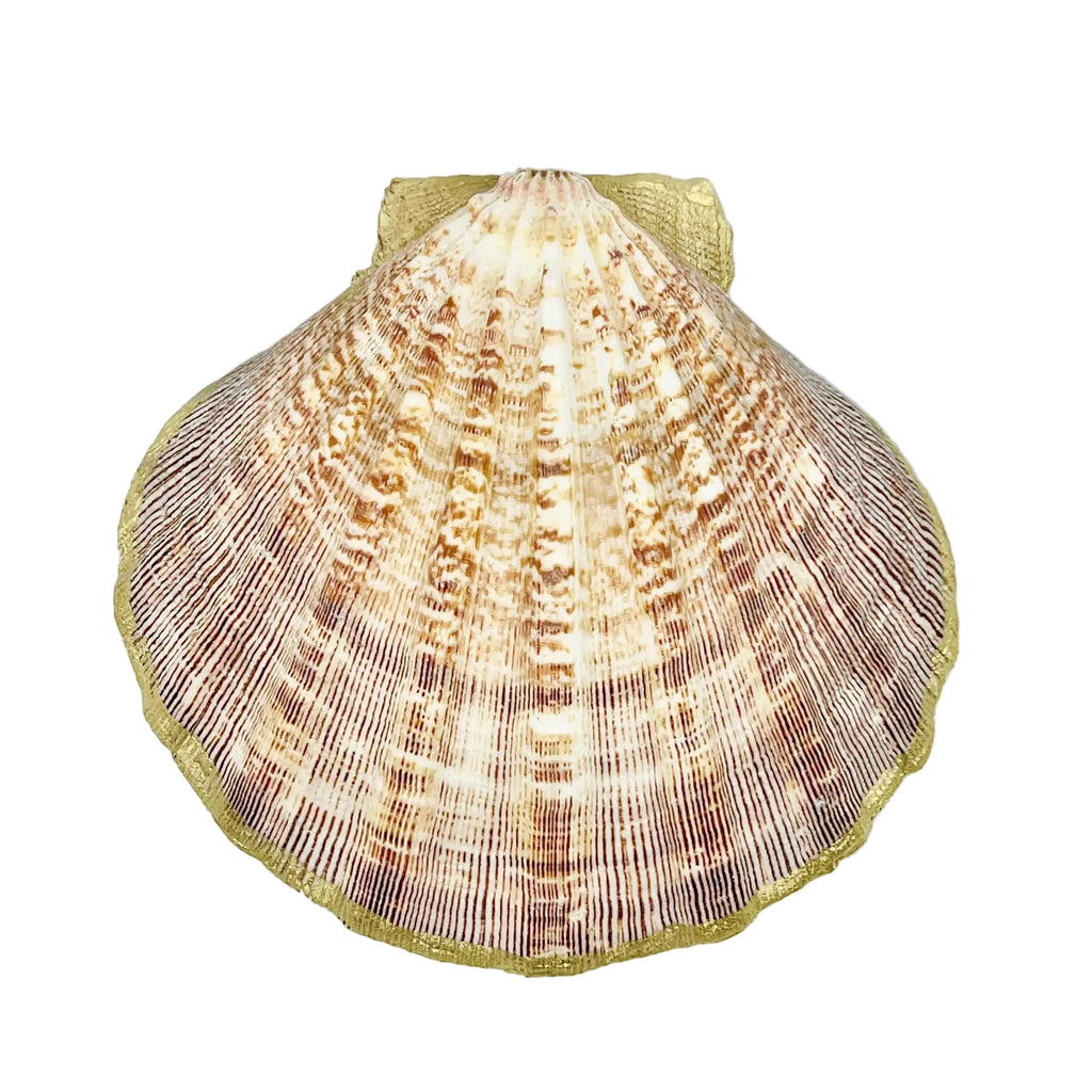 Scallop shell shaped catchall tray for keys and small items